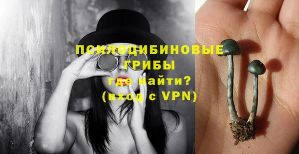 первитин Богородицк