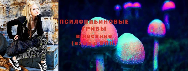 МДПВ Богданович