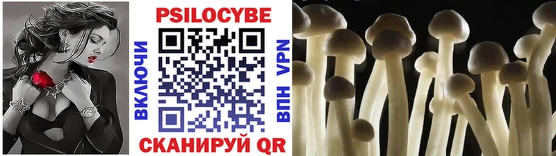 Купить закладки Западная Двина Галлюциногенные грибы Magic Shrooms